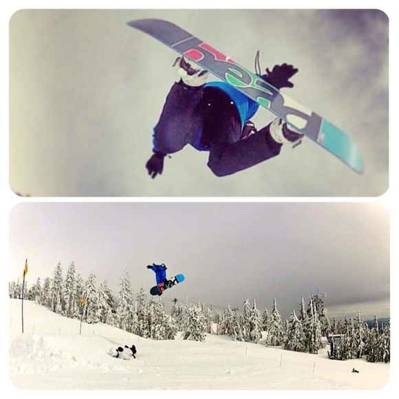 Meet your Posher, Addison - Picture 3 of 4